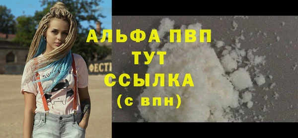 spice Покачи