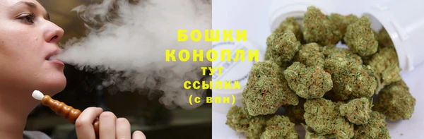 spice Покачи