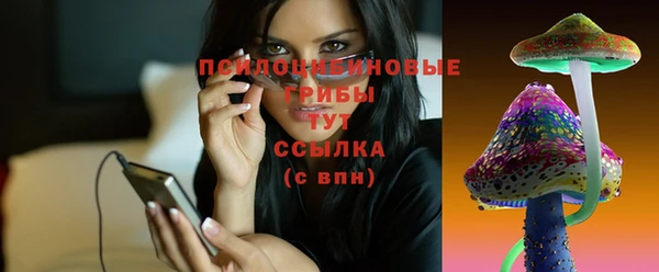 spice Покачи