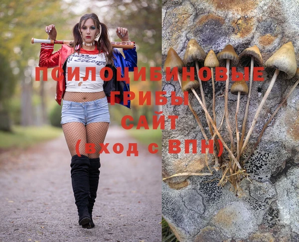 МДПВ Покровск