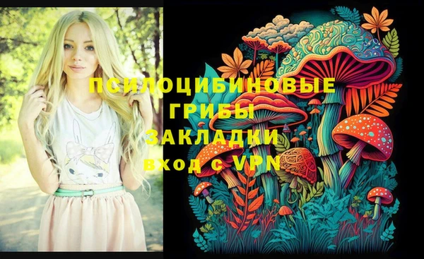 spice Покачи