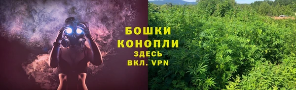 spice Покачи