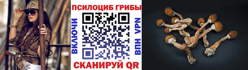 Галлюциногенные грибы Psilocybine cubensis  Купить где  Чулым 