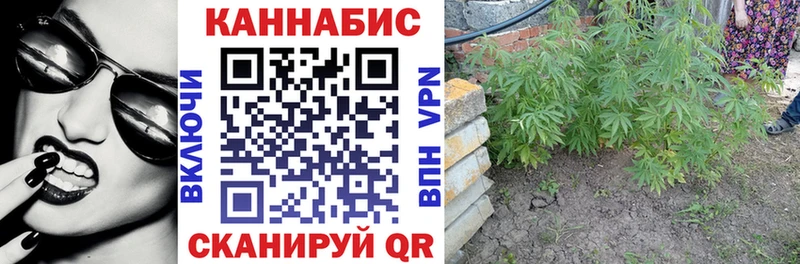МАРИХУАНА Bruce Banner  Купить где  Чулым 